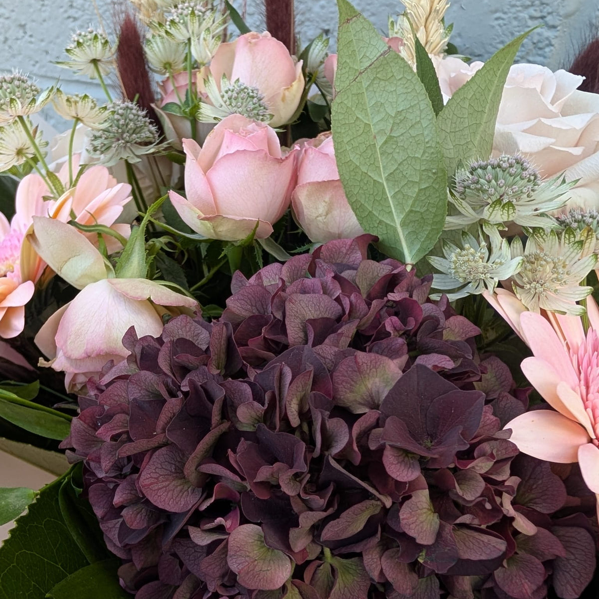 A close-up of a floral arrangement featuring a large dark purple hydrangea bloom, light pink roses, pale pink daisies, green leaves, and soft beige grasses against a textured light blue-gray wall.
